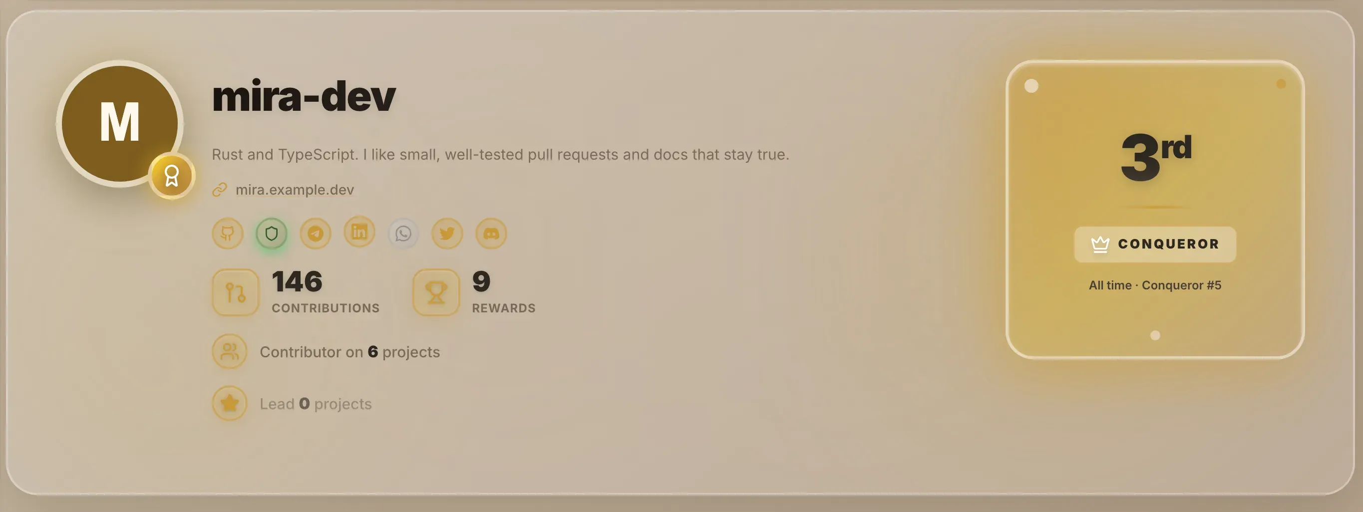 The top of a profile: picture, username, bio, contact icons, counts and the rank card